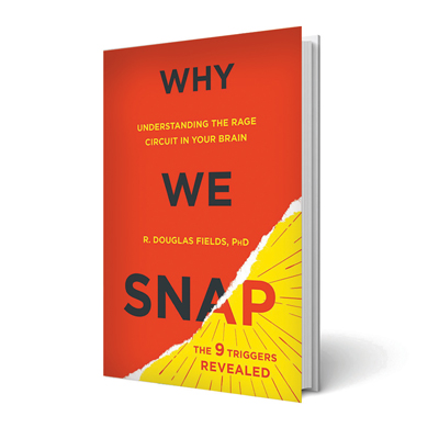 Why-we-snap