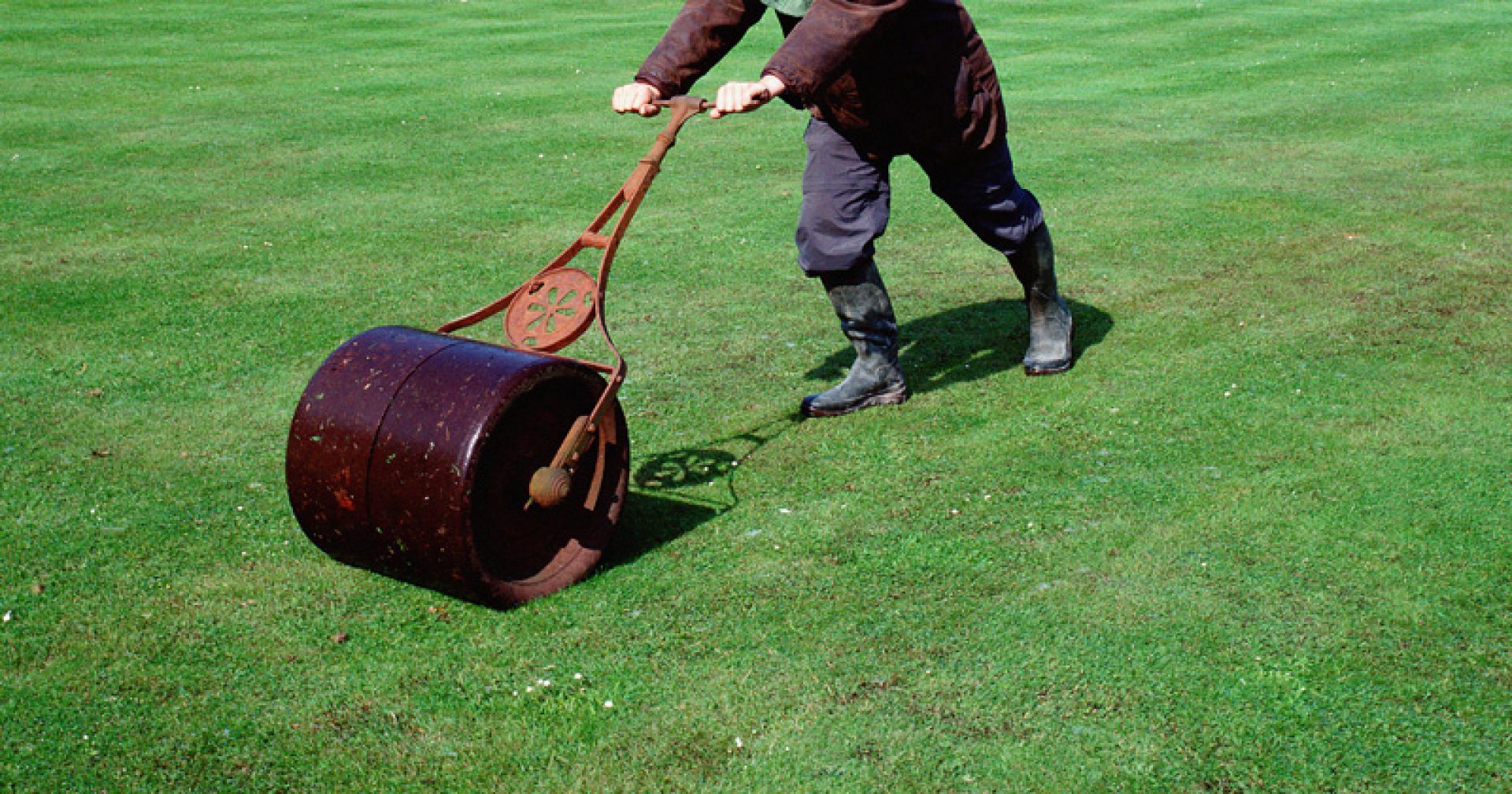 ‘Flattening the grass’ what’s really going on?