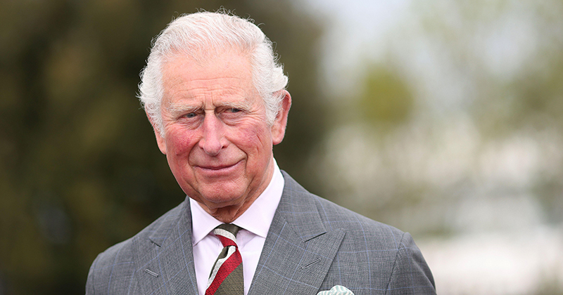 Schools can apply for a free portrait of King Charles under a new government scheme