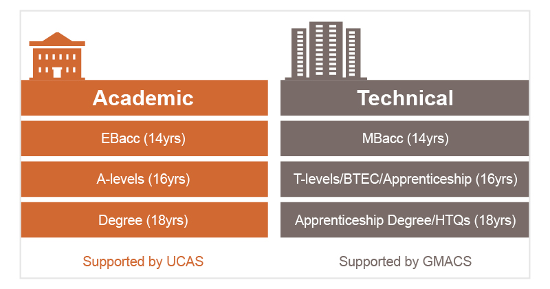 Technical versus academic routes, including the MBacc