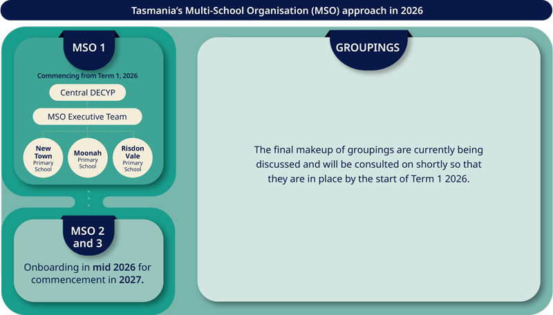 TasmanianMSOapproachgraphicinset800px | Schools Week