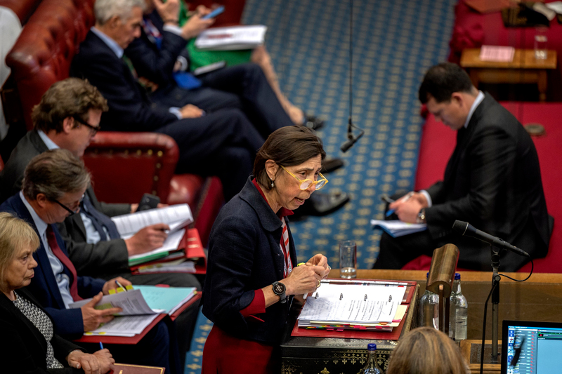 Shadow education minister Baroness Barran in the House of Lords