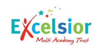 Chief Executive Officer